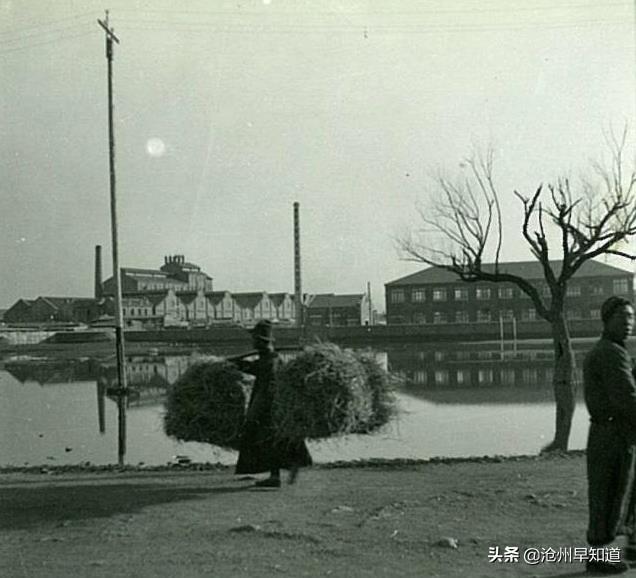 老照片：民国时期河北省沧县城（今沧州）