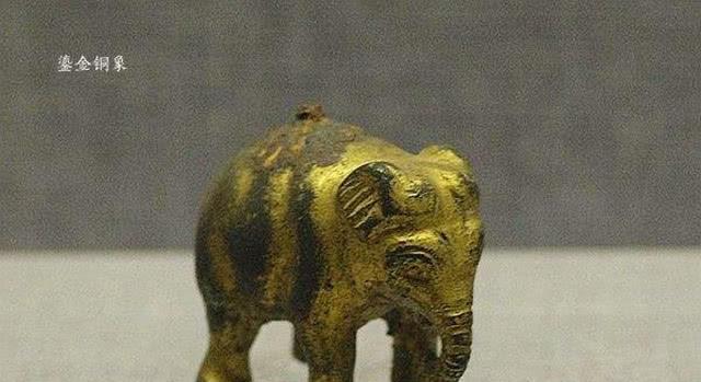 古代河南有大象吗？为什么它的简称是豫？考古专家告诉你答案